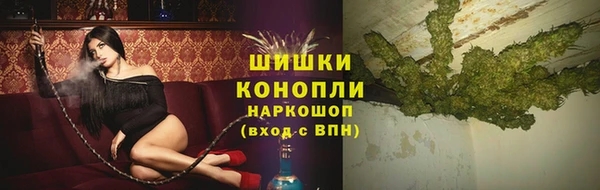 дмт Новокубанск