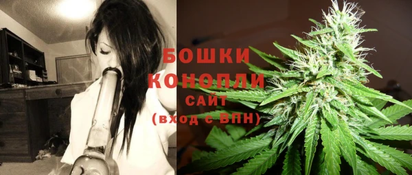 крисы Новодвинск