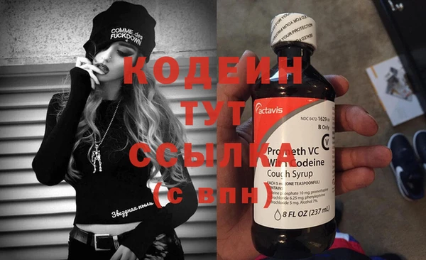 крисы Новодвинск