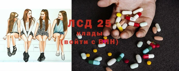 дмт Новокубанск