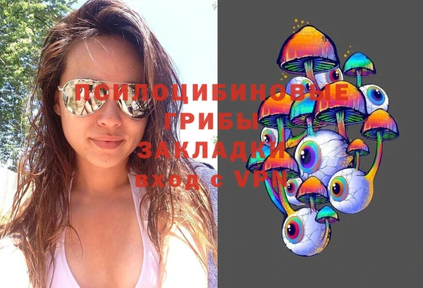 крисы Новодвинск