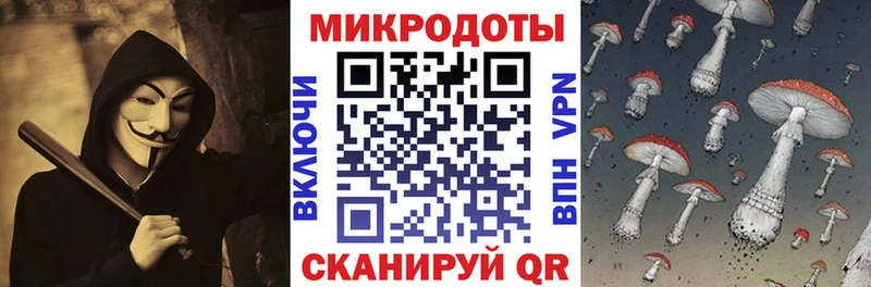 shop клад  Кириллов  Псилоцибиновые грибы GOLDEN TEACHER  где можно купить наркотик 